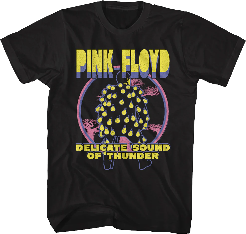 Delicate Sound Of Thunder Pink Floyd T-Shirt